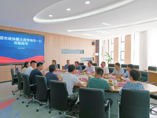市政协座谈会1.jpg