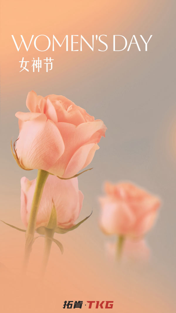 38海报.png